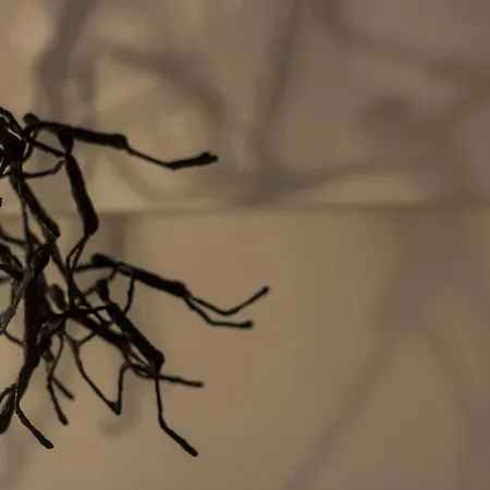 فندق مبيت وإفطار Casa Latina نابولي